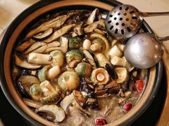-京川野菌王(总店)