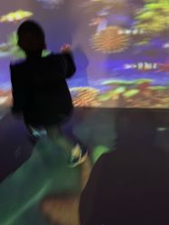 -小鸡哆哆故事屋·儿童乐园(嘉里城店)