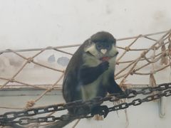 -新疆天山野生动物园