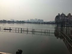 景观位-东湖食堂·湖景餐厅•会议
