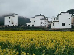 -新安江山水画廊风景区