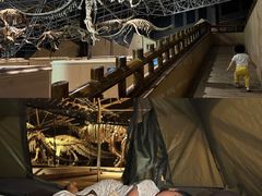 -世界恐龙谷景区