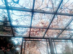 -春晖园度假酒店温泉