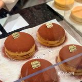 KUMO KUMO圣诞限定🎄提拉米苏芝士蛋糕🍫 来了