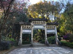 -蝴蝶泉公园