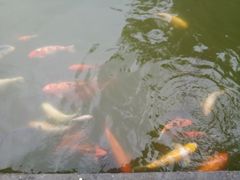 -珠海圆明新园