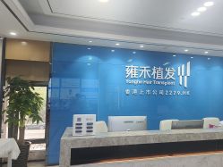 -雍禾植发