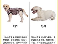 -爱妮康宠物医院·干细胞免疫细胞·肿瘤·心脏(张江店)