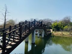 -同里国家湿地公园