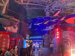 -烟台海昌鲸鲨海洋公园