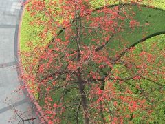 -暨南大学（石牌校区）明湖楼