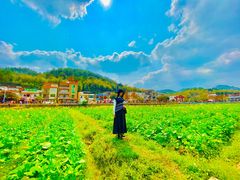 -红山村