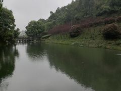 -桃花岭景区