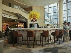 -Plush大堂酒廊(北京金融街威斯汀大酒店)