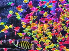 -威海华夏城景区