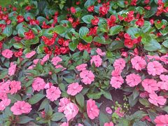 -东北林业大学-俭德园食堂