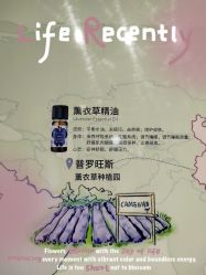 -CAMENAE嘉媚乐