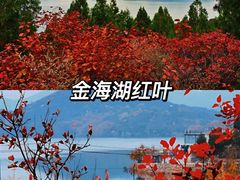 -八达岭长城