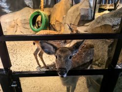 -酷嗒动物文化乐园(cutezoo西溪乐天城店)