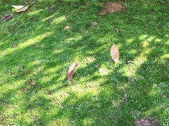 -长沙三景韦尔斯利酒店·Oval全日制餐厅自助餐