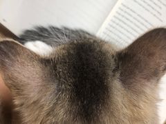 -喵汪宠物生活馆(涞坊路店)