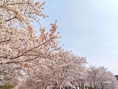 -上海辰山植物园