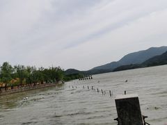 -鸣鹤古镇