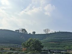 -听风阁农家私房菜茶楼(龙坞店)