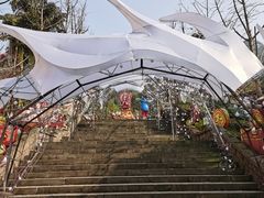 -重庆海昌加勒比海水世界