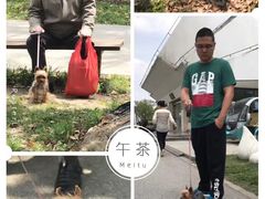 -上海鲜花港