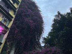 -黄桷坪涂鸦艺术街