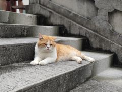 -六祖寺