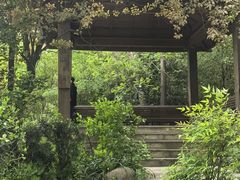 -吴淞炮台湾湿地森林公园烧烤区