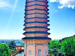 -八大处公园
