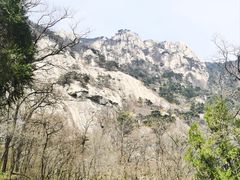 -泰山风景名胜区