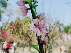 -中山公园