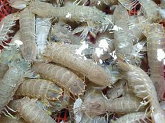 -大东海海鲜酒楼(渔人码头总店)