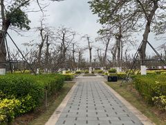-芒洲湿地公园