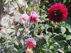 -明月山庄私房菜(环海东路店)