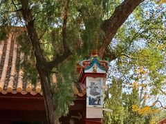 -南岳衡山风景名胜区-南岳大庙