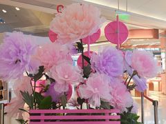 -翠微百货(龙德店)