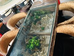 -西塘人家•黑金冠本地好店