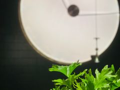 -桂花里·衢州菜·精酿餐吧(未来科技城万达广场店)