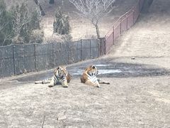 -沈阳森林动物园