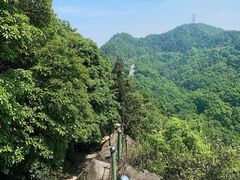 -南山植物园