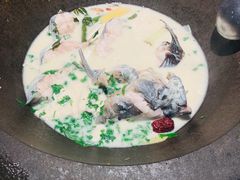 -鲜潭蒸汽石锅鱼(五道口购物中心店)