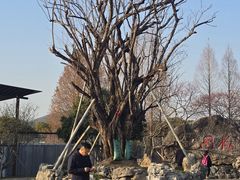 -无锡梅园公园
