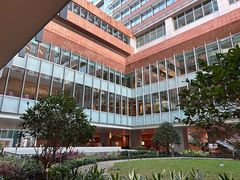 -香港大学