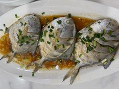 -威海渔村(黄兴路店)