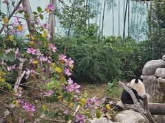 -南宁市动物园